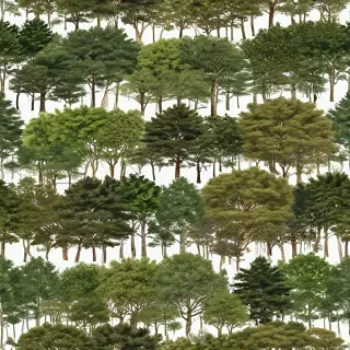 trees no background