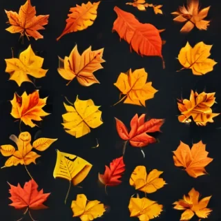 png fall leaves