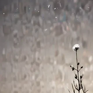 thought wallpaper