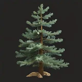 pine tree transparent