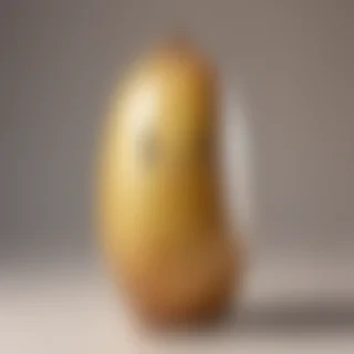 potato transparent
