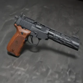 png gun