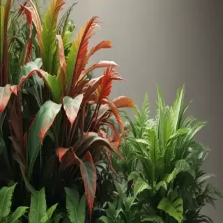zoom background plants