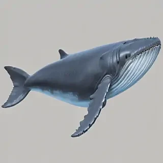 blue whale png