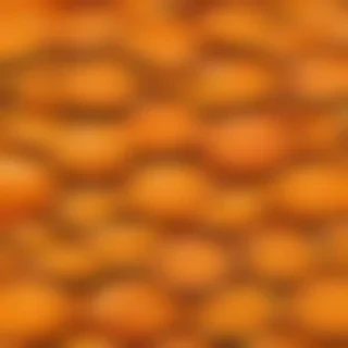 cute orange background