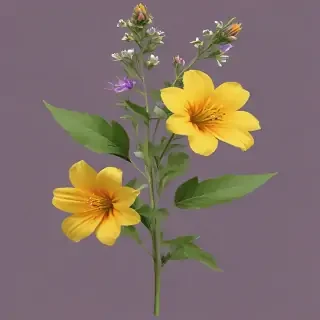 wildflower png