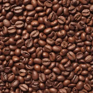 coffee beans png
