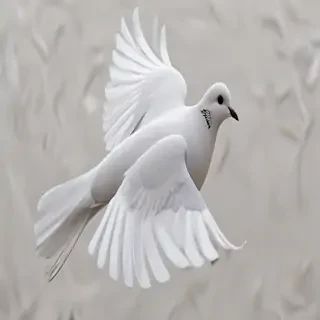 png dove