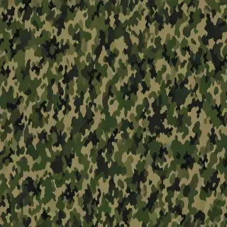 camo png