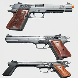 gun with transparent background