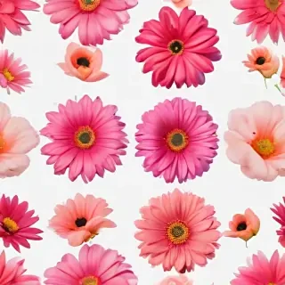 flowers png aesthetic