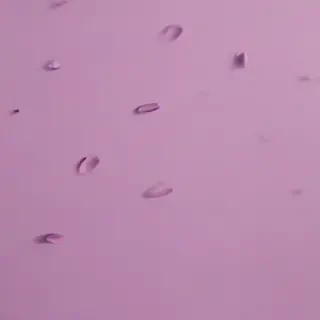mauve background