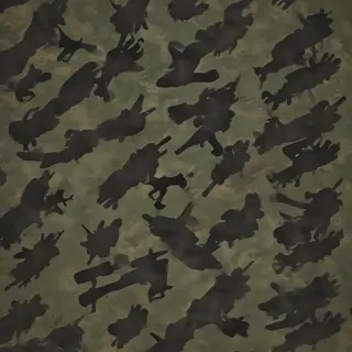 army backround