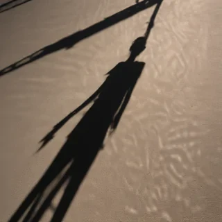 shadow transparent