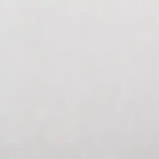 white background