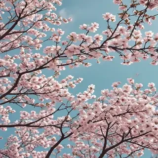 spring aesthetic desktop wallpaper