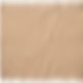 aesthetic ripped paper png