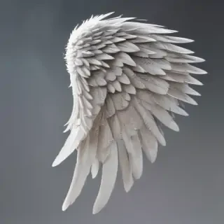 angel wing pictures
