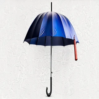 umbrella transparent background