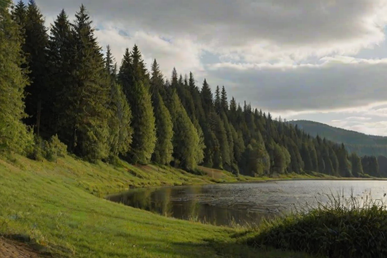 landscapes