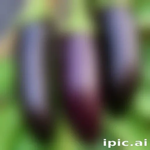 new eggplant friday