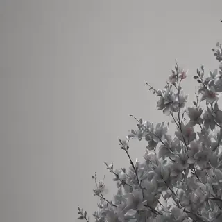 aesthetic grey wallpaper