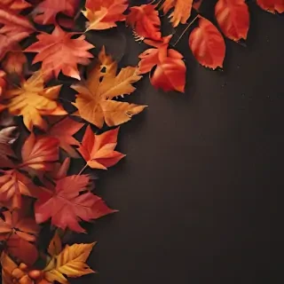fall wallpaper iphone
