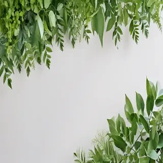 white and greenery background