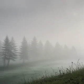 fog transparent background