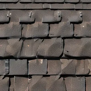 picture of shingles