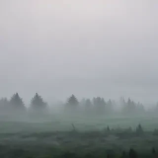 foggy background