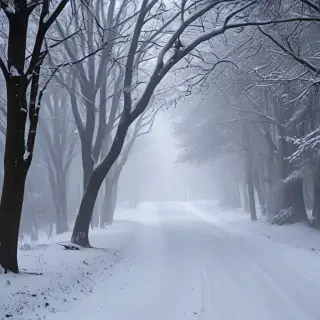 snowing iphone wallpaper