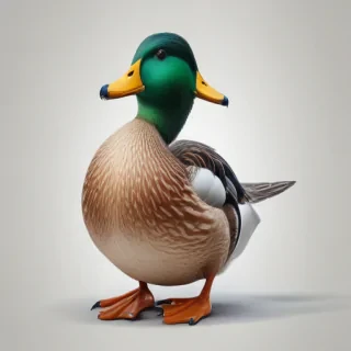 duck clipart