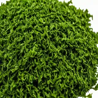 seaweed png