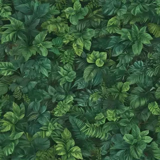 plant backgrounds