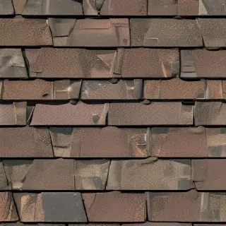 shingles images