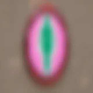 female sign