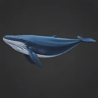 blue whale png