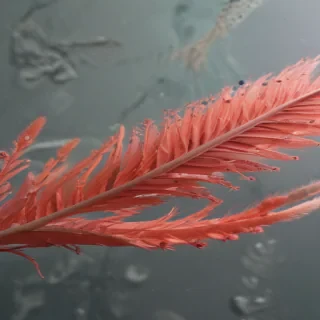 aesthetic simple iphone wallpaper