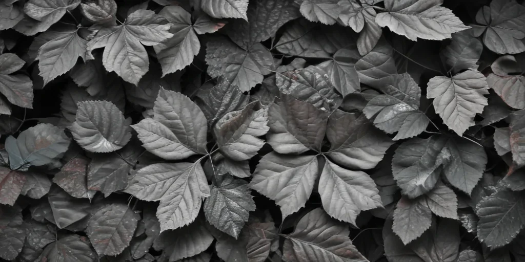 leaves black and white
