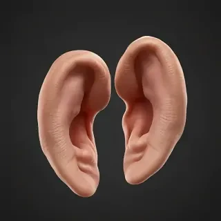 ears png