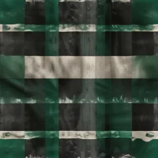 nigerian flag png
