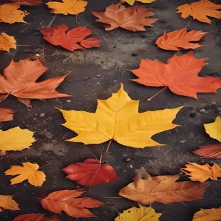autumn background iphone