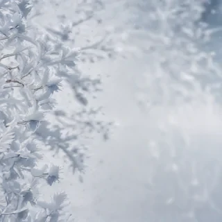 snow overlay png