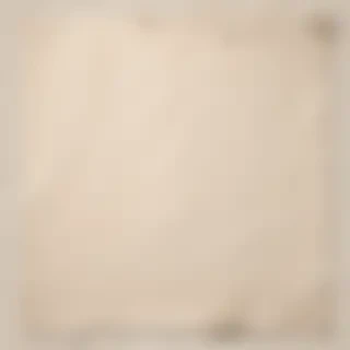paper ripped png