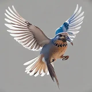 birds flying transparent background