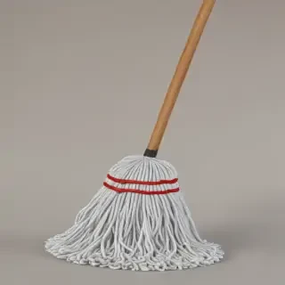 mop png