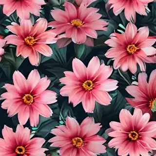 flower wallpaper phone