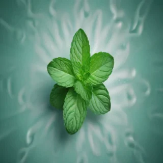 mint background