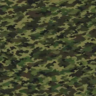 camo png